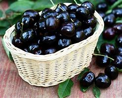 CHERRY BALSAMIC VINEGAR